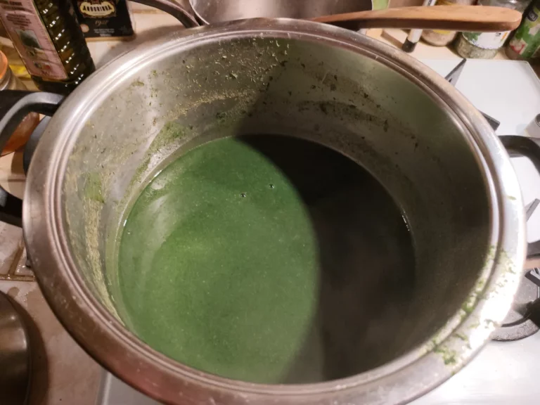 soupe à l'ortie
